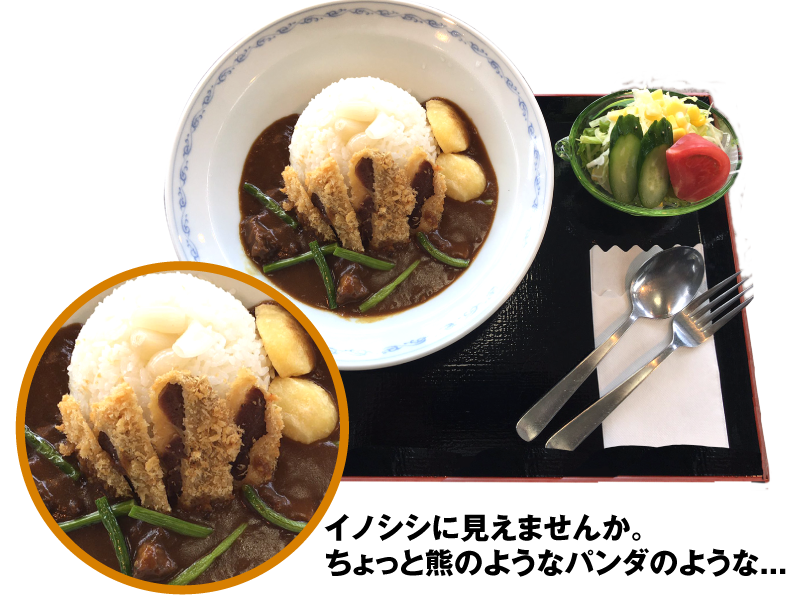 猪(しし)カレー