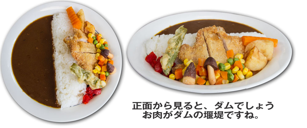 宮ヶ瀬ダムカレー