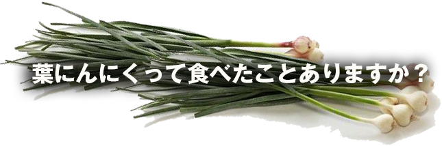 葉にんにくの天ぷら